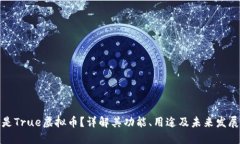 什么是True虚拟币？详解其功能、用途及未来发展