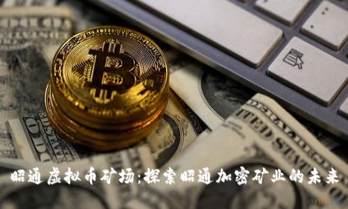 昭通虚拟币矿场：探索昭通加密矿业的未来
