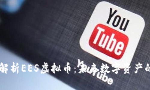 深入解析EES虚拟币：未来数字资产的新星