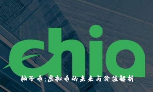 柚子币：虚拟币的未来与价值解析