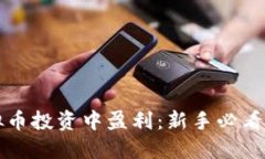 如何从虚拟币投资中盈利：新手必看的实用指南