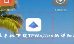安卓手机下载TPWallet的详细指南
