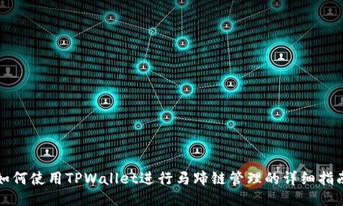如何使用TPWallet进行马蹄链管理的详细指南