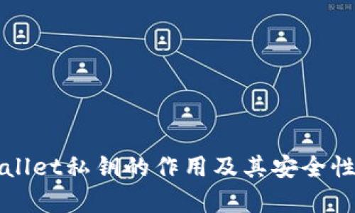 TPWallet私钥的作用及其安全性分析