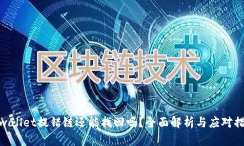 tpwallet提错链还能找回吗？全面解析与应对措施