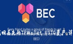 如何找回丢失的TPWallet USTD资产：详细指南