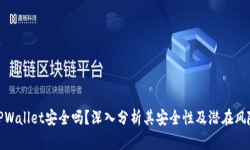 TPWallet安全吗？深入分析其安全性及潜在风险