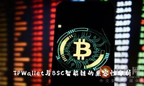 TPWallet与BSC智能链的兼容性分析