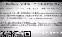 如何在TPWallet电脑版中导入BSC资产：详细操作指南