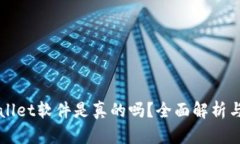 国外TPWallet软件是真的吗？全面解析与用户评价