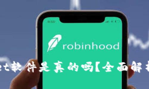 国外TPWallet软件是真的吗？全面解析与用户评价