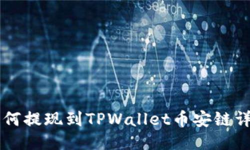 中币如何提现到TPWallet币安链详细指南