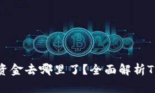和关键词示例

转入TPWallet的资金去哪里了？全面解析TPWallet资金流向