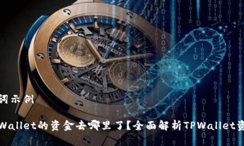 和关键词示例

转入TPWallet的资金去哪里了？全面解析TPWallet资金流向
