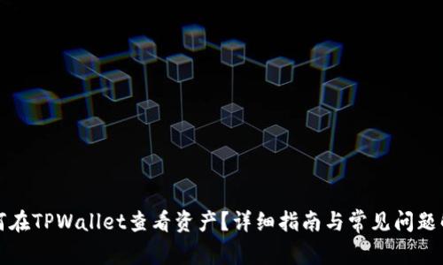 如何在TPWallet查看资产？详细指南与常见问题解答