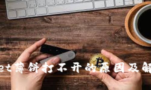 tpwallet薄饼打不开的原因及解决方案