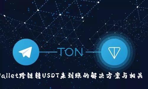 tpWallet跨链转USDT未到账的解决方案与相关 FAQ