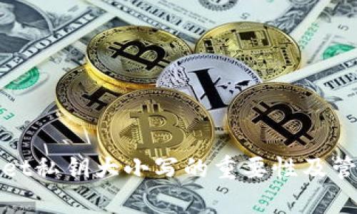 tpwallet私钥大小写的重要性及管理指南