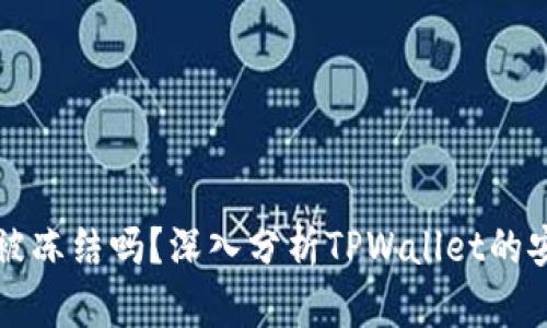 TPWallet能被冻结吗？深入分析TPWallet的安全性与风险