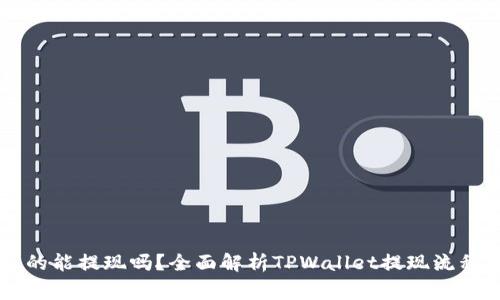 TPWallet真的能提现吗？全面解析TPWallet提现流程与注意事项
