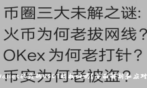 :TPWallet被盗的USDT能找回吗？全面解析和应对措施