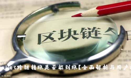 tpwallet跨链转账是否能到账？全面解析与用户指南