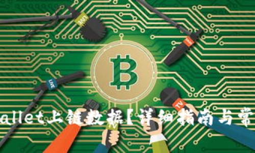如何在TPWallet上链数据？详细指南与常见问题解答