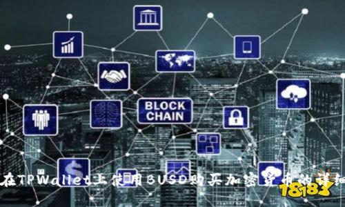 如何在TPWallet上使用BUSD购买加密货币的详细指南