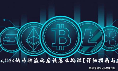 tpwallet的币被盗之后该怎么处理？详细指南与建议