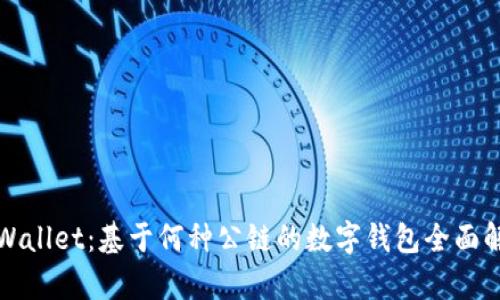 TPWallet：基于何种公链的数字钱包全面解析