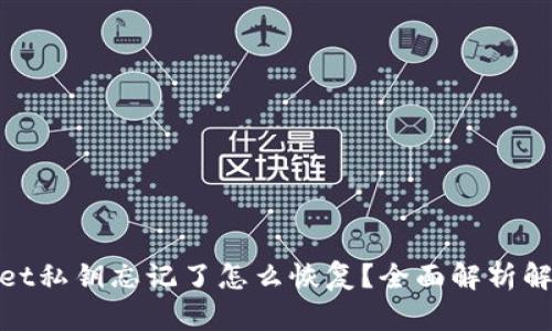 tpwallet私钥忘记了怎么恢复？全面解析解决方案