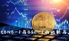 TPWalletBNB-1与BSC-1的比较与应用解析