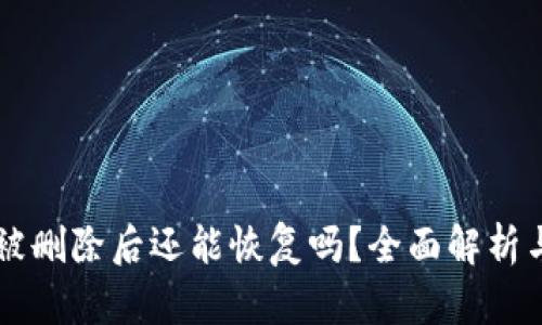 TPWallet被删除后还能恢复吗？全面解析与操作指南