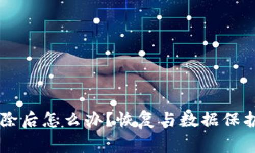 TPWallet删除后怎么办？恢复与数据保护的全面指南