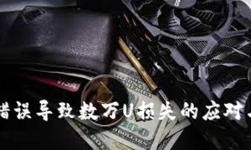 TPWallet错误导致数万U损失的应对与解决方案