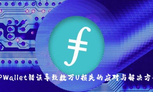 TPWallet错误导致数万U损失的应对与解决方案