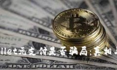 TPWallet元支付是否骗局：真相与分析