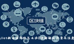 tpwallet提币未到账怎么办？详解解决方案及注意事