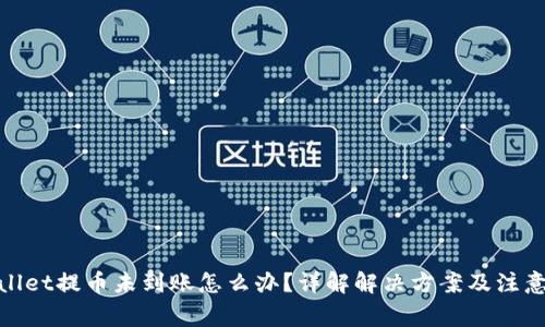 tpwallet提币未到账怎么办？详解解决方案及注意事项