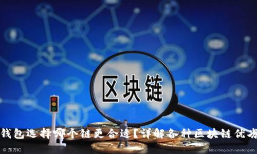 TP钱包选择哪个链更合适？详解各种区块链优劣势