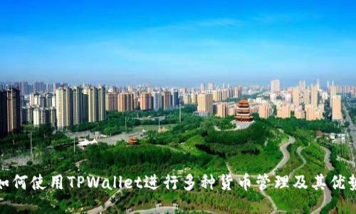 如何使用TPWallet进行多种货币管理及其优势