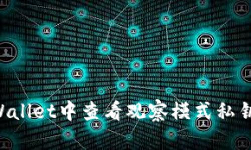 如何在TPWallet中查看观察模式私钥：详细指南