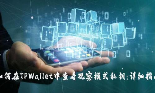 如何在TPWallet中查看观察模式私钥：详细指南