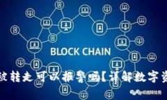 tpwallet的币被转走可以报警吗？详解数字资产安全