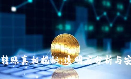 TPWallet转账真相揭秘：透明度分析与安全性探讨