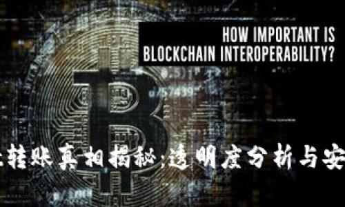 TPWallet转账真相揭秘：透明度分析与安全性探讨
