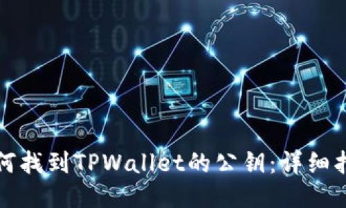 如何找到TPWallet的公钥：详细指南