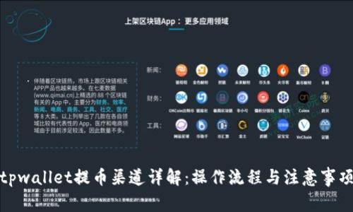 tpwallet提币渠道详解：操作流程与注意事项