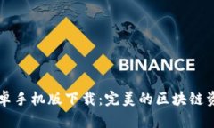 TPWallet安卓手机版下载：完美的区块链资产管理工