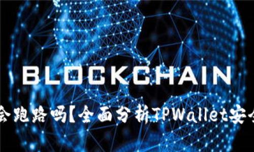 TPWallet的币会跑路吗？全面分析TPWallet安全性及风险评估